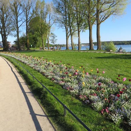 Ferienwohnungen "Marie" Mit Terrassen, Inclusive Park- Und Stellplaetze Am Haus, Mueritz-Strand Nur 700M, Altstadt 10Min, Ruhige Lage, Waren  Eksteriør billede