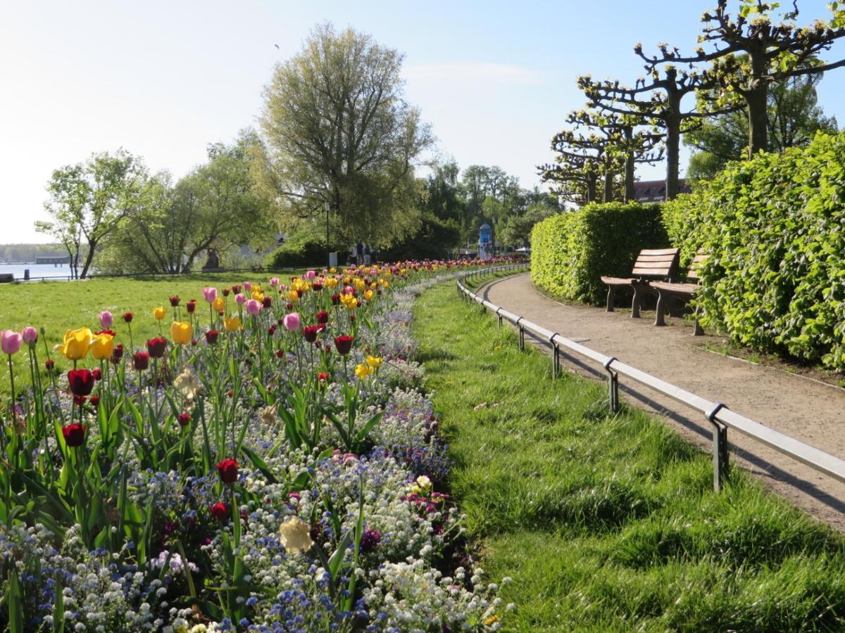 Ferienwohnungen "Marie" Mit Terrassen, Inclusive Park- Und Stellplaetze Am Haus, Mueritz-Strand Nur 700M, Altstadt 10Min, Ruhige Lage, Waren  Eksteriør billede