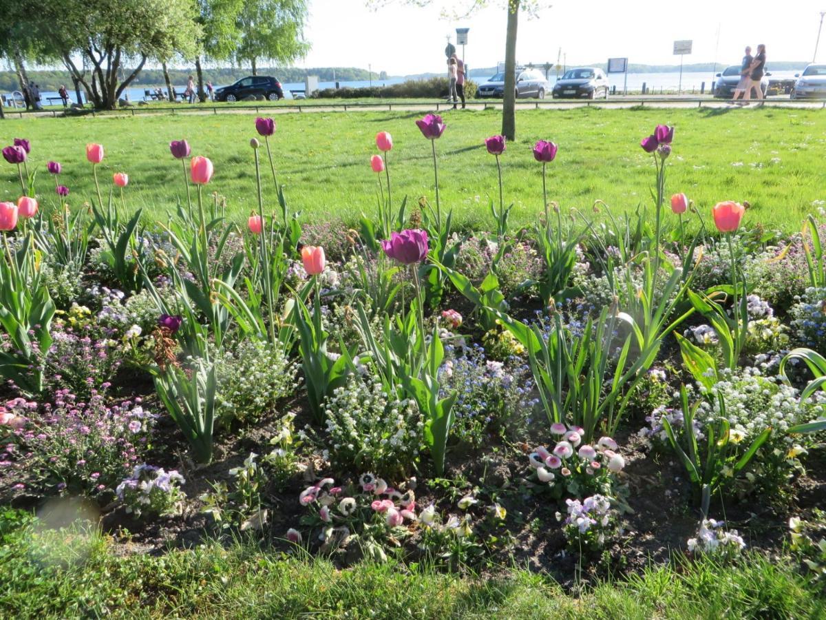 Ferienwohnungen "Marie" Mit Terrassen, Inclusive Park- Und Stellplaetze Am Haus, Mueritz-Strand Nur 700M, Altstadt 10Min, Ruhige Lage, Waren  Eksteriør billede
