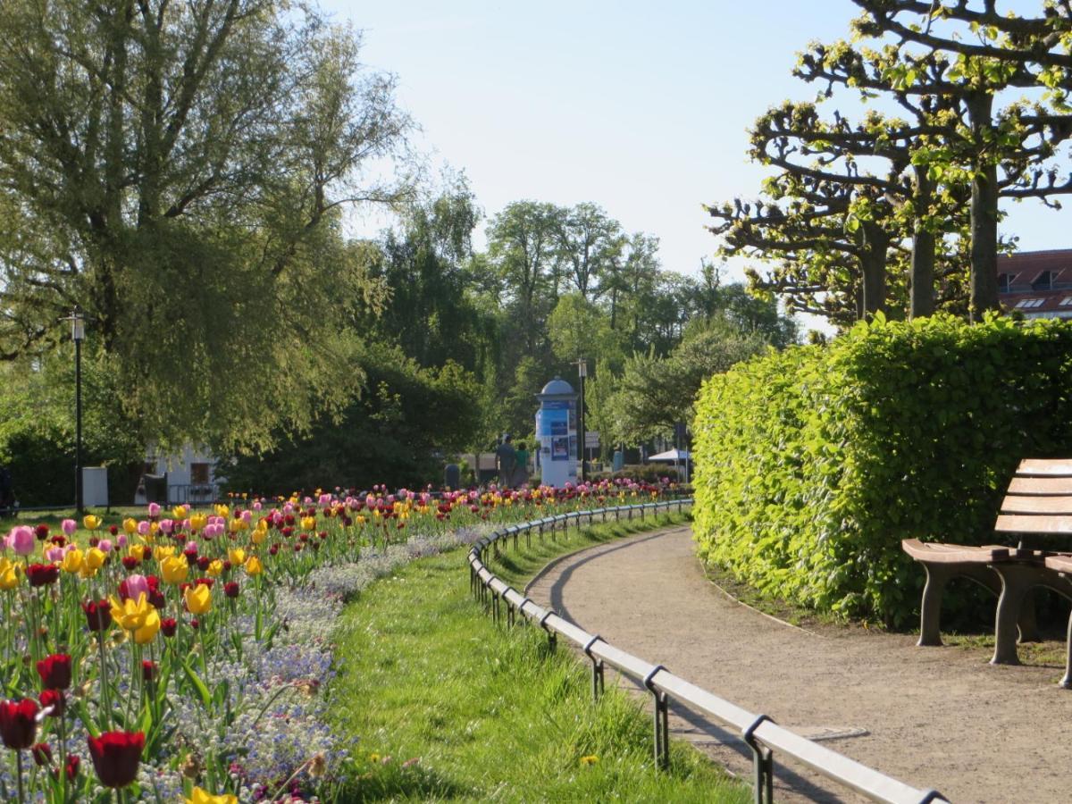 Ferienwohnungen "Marie" Mit Terrassen, Inclusive Park- Und Stellplaetze Am Haus, Mueritz-Strand Nur 700M, Altstadt 10Min, Ruhige Lage, Waren  Eksteriør billede